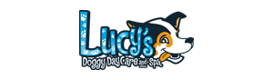 Lucy's Doggy Daycare and Spa